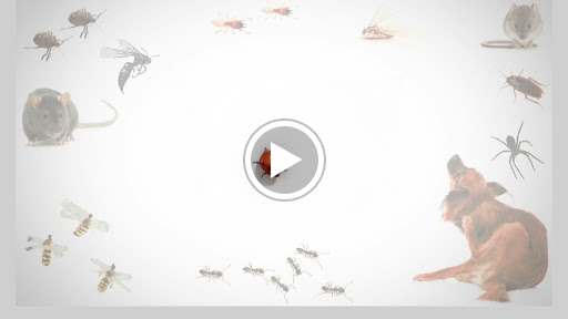 Advertising Agency «Creative Juices Marketing & Advertising Agency», reviews and photos, 826 Hinton Ave, Charlottesville, VA 22901, USA