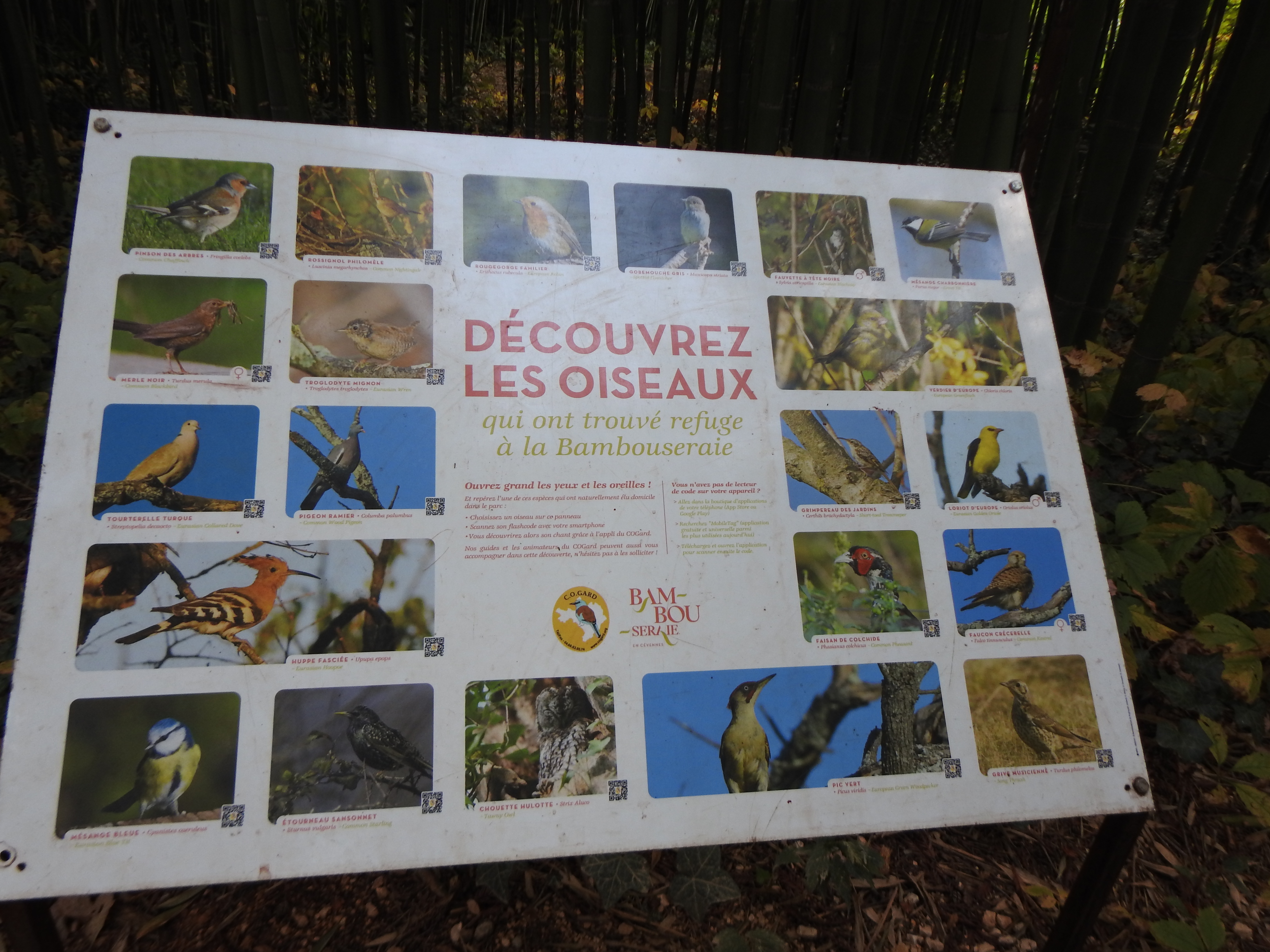 Photo n° 9 de l'avis de gerd.a fait le 11/11/2022 à 11:12