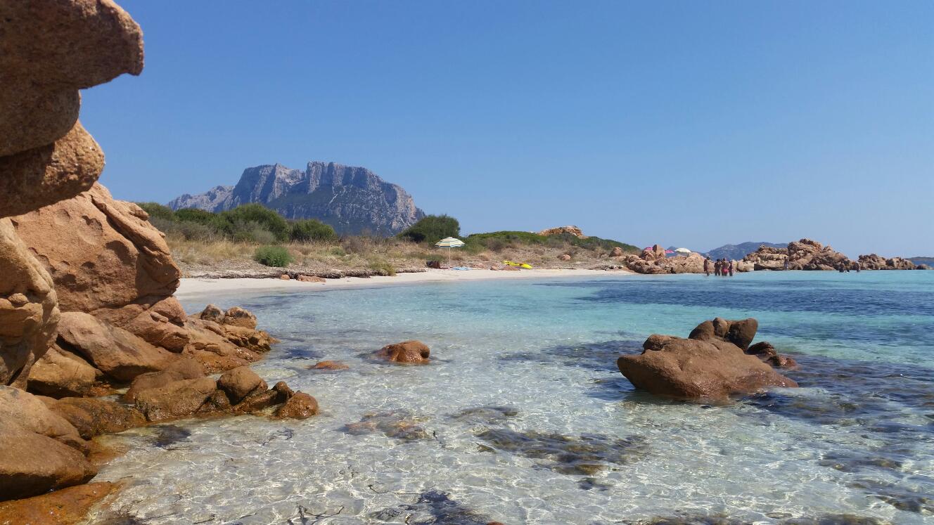 Zdjęcie Spiaggia Isola dei Cavalli położony w naturalnym obszarze