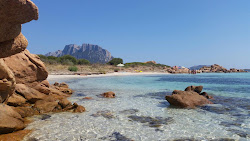 Isola dei Cavalli Beach'in fotoğrafı - Çocuklu aile gezginleri için önerilir