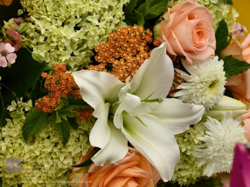 Florist «Neffsville Flower Shoppe», reviews and photos, 2700 Lititz Pike, Lancaster, PA 17601, USA