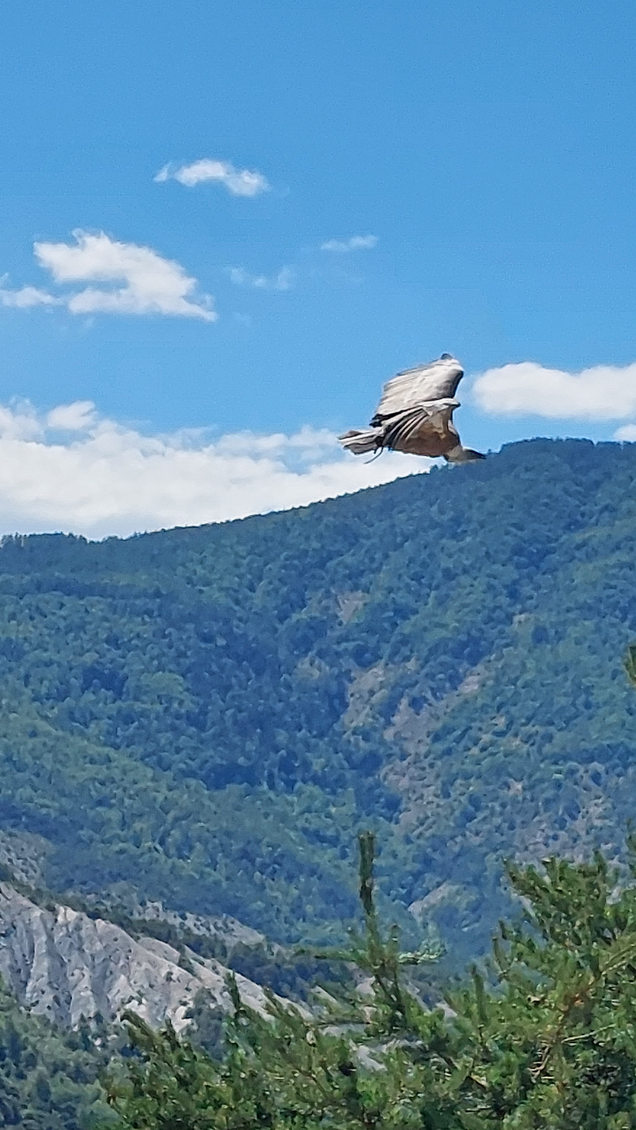 Photo n° 3 de l'avis de Véronique.e fait le 12/08/2022 à 16:35