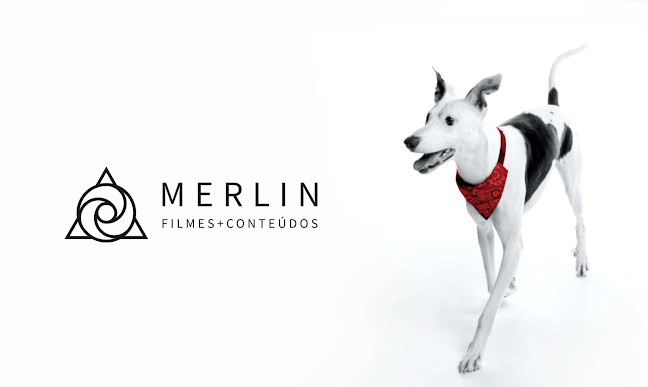 MERLIN: Filmes + Conteúdos - Fotógrafo