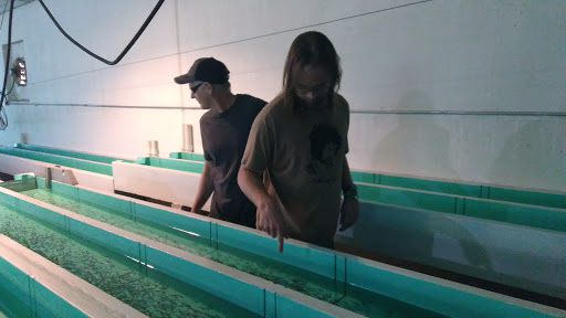 Caterer «Town & Country Caterers», reviews and photos, 922 S Route 9W, Congers, NY 10920, USA