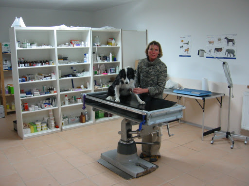 Tierarztpraxis Corina Morasch unter Innernzell, 