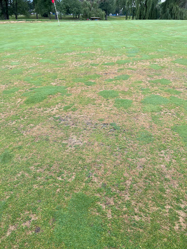 Public Golf Course «Green Oaks Golf Course», reviews and photos, 1775 E Clark Rd, Ypsilanti, MI 48198, USA