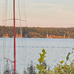 Photo n°2 de l'avis de Benedikt.o fait le 11/08/2023 à 17:52 sur le  Pizzeria und Biergarten Seeblick - Christian Gradl à Steinberg am See