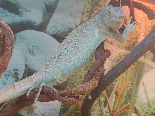 Pet Supply Store «Petco Animal Supplies», reviews and photos, 10383 Reisterstown Rd, Owings Mills, MD 21117, USA