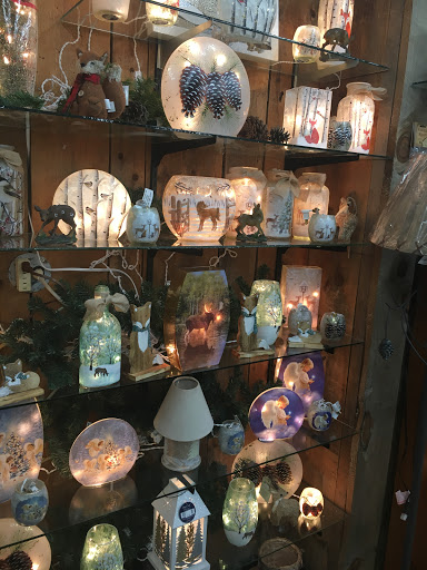 Gift Shop «Speculator Department Store», reviews and photos, 2901 NY-8, Speculator, NY 12164, USA