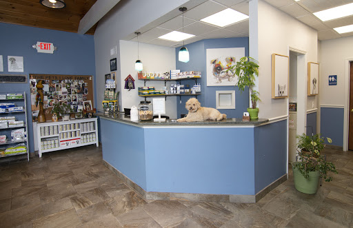 Veterinarian «The Pets I Love Veterinary Hospital», reviews and photos, 200 Spring St, Monroe, NY 10950, USA