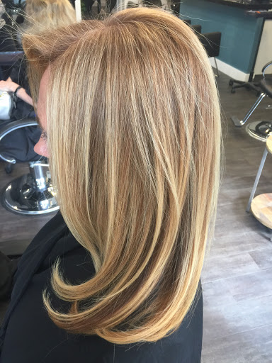 Hair Salon «The Beauty Lounge Salon & Day Spa», reviews and photos, 8627 Citrus Park Dr, Tampa, FL 33625, USA