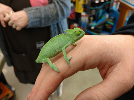 Pet Supply Store «Petco Animal Supplies», reviews and photos, 18578 Coastal Hwy #12, Rehoboth Beach, DE 19971, USA