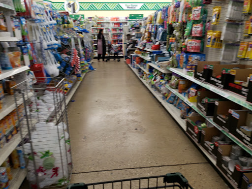 Dollar Store «Dollar Tree», reviews and photos, 4101 Dempster St, Skokie, IL 60076, USA