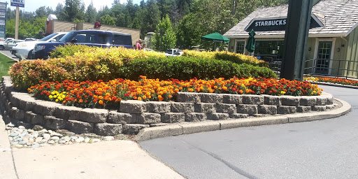 Starbucks image