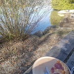 Photo n°4 de l'avis de Mandy.a fait le 04/05/2021 à 11:30 sur le  Il Kiosko à Wörthsee