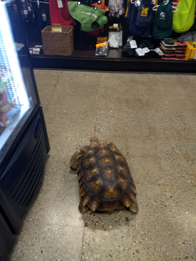 Pet Supply Store «Premier Pet Supply», reviews and photos, 31215 Southfield Rd, Beverly Hills, MI 48025, USA