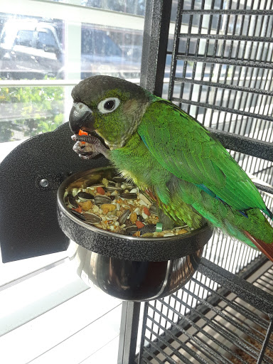 Pet Supply Store «Pet Supermarket, Inc.», reviews and photos, 380 E Michigan St, Orlando, FL 32806, USA