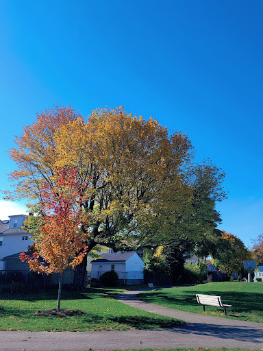 Park «Pequossette Playground», reviews and photos, Maple St, Belmont, MA 02478, USA