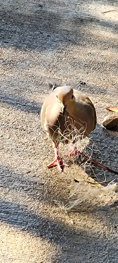 Home Improvement Store «The Home Depot», reviews and photos, 1510 Ring Rd, Elizabethtown, KY 42701, USA