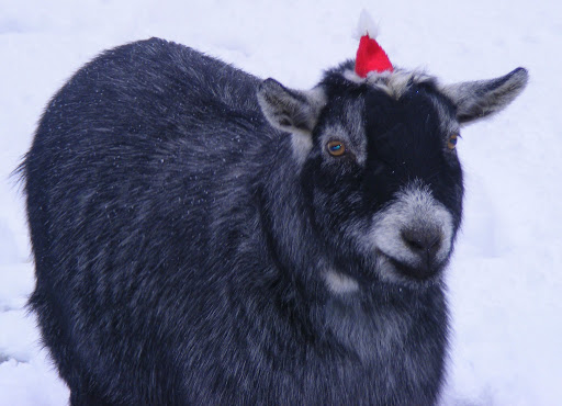 191 Old Mansfield Rd, Mt Vernon, OH 43050, USA