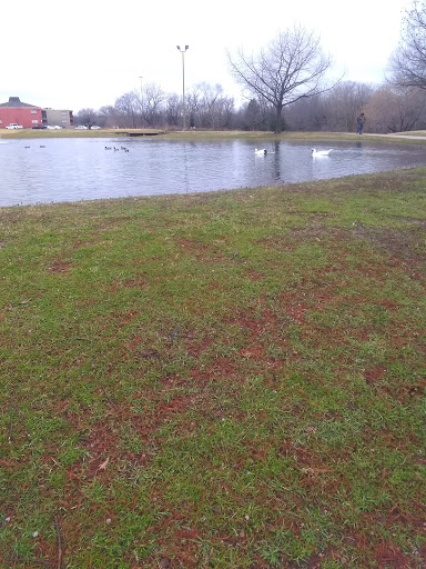 Park «Carl Knox, Jr. Park», reviews and photos, 1200 Susan Dr, Arlington, TX 76011, USA