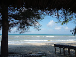 Penarik Beach II'in fotoğrafı - rahatlamayı sevenler arasında popüler bir yer