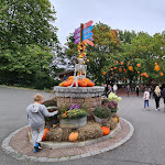 Photo n°4 de l'avis de FJ.u fait le 15/10/2023 à 08:11 sur le  Heide Park Holiday Camp à Soltau