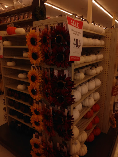 Craft Store «Hobby Lobby», reviews and photos, 7646 Dodge St, Omaha, NE 68114, USA