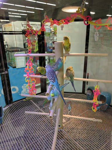 Pet Supply Store «Petco Animal Supplies», reviews and photos, 2277 Ford Pkwy, St Paul, MN 55116, USA
