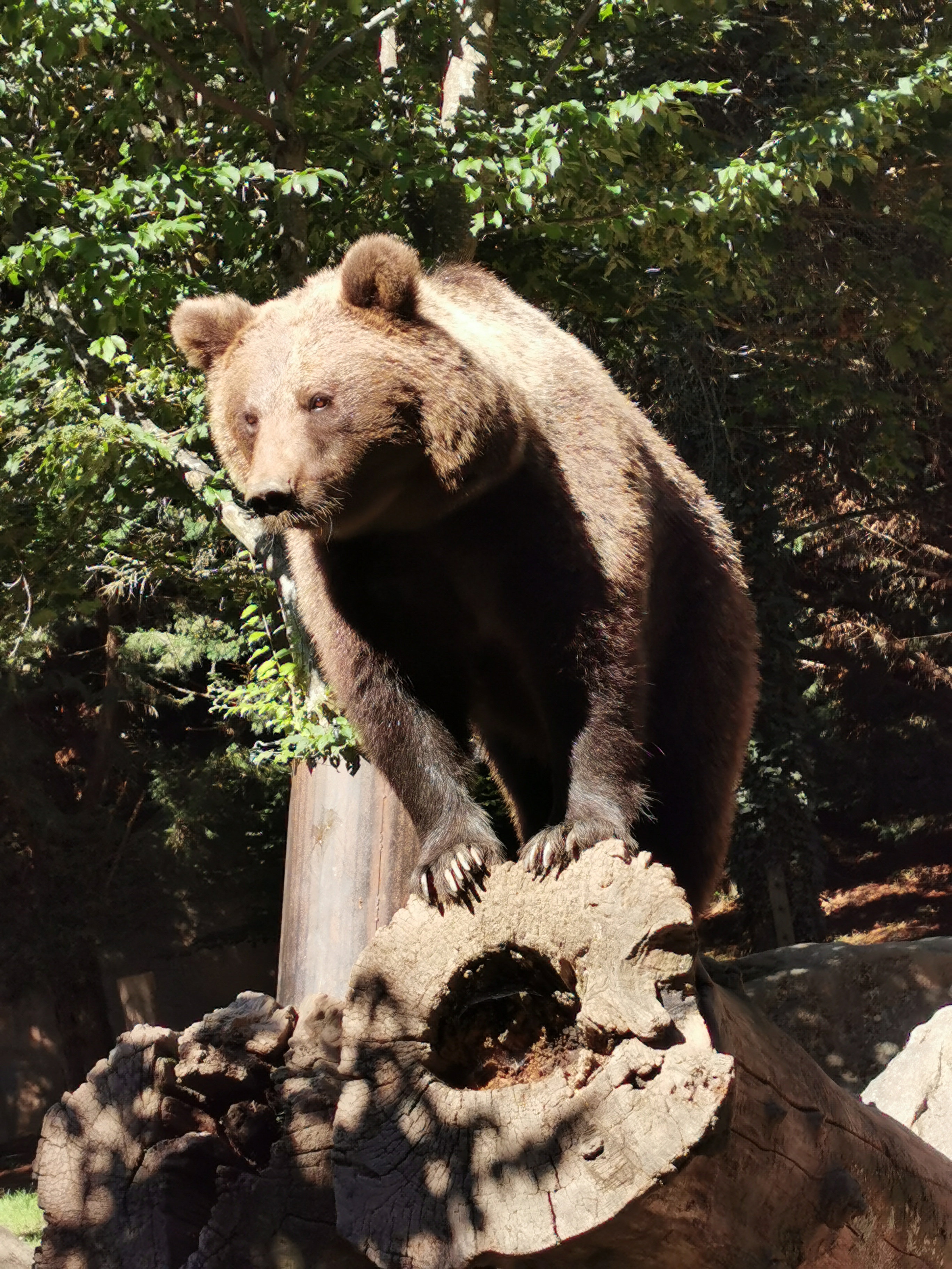 Photo n° 17 de l'avis de Sylvain.i fait le 03/09/2020 à 11:35