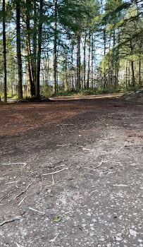 Danshap Landscaping and Excavation inc. - Photo 8 - Car repair in Vancouver, WA, Portland