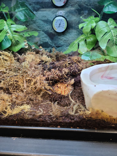 Pet Supply Store «Petco Animal Supplies», reviews and photos, 5125 Jonestown Rd #195, Harrisburg, PA 17112, USA