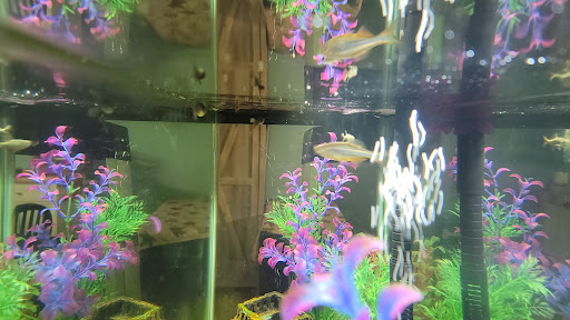 Pet Supply Store «Petco Animal Supplies», reviews and photos, 247 N Washington Hwy, Ashland, VA 23005, USA