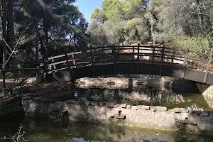 Parco del Colle Rosmarino image