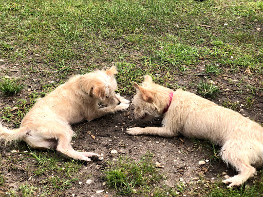 Recreation Center «Wa-Ke Hatchee Park Recreation Center», reviews and photos, 16760 Bass Rd, Fort Myers, FL 33908, USA