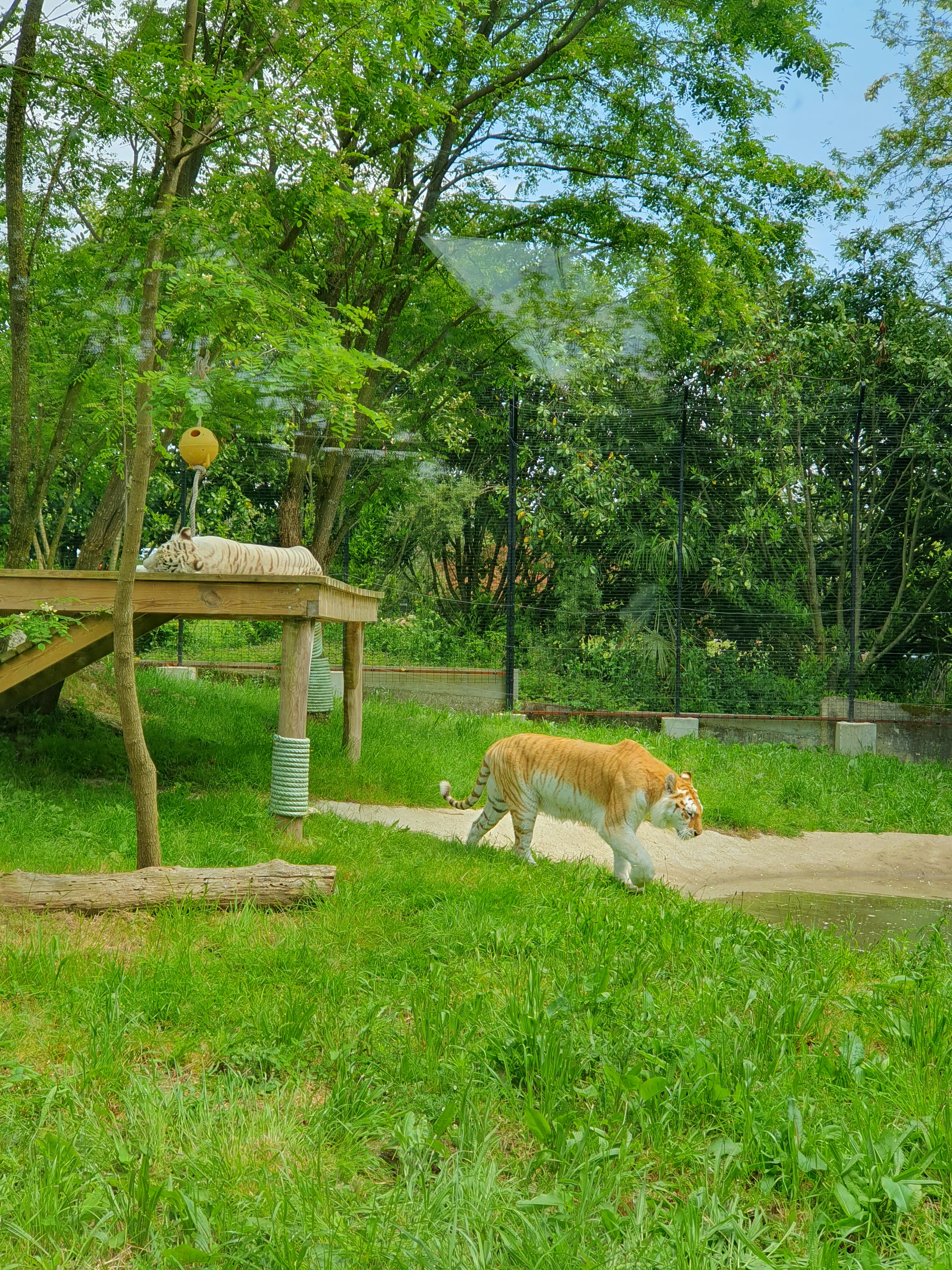 Photo n° 5 de l'avis de Heianui.a fait le 17/05/2023 à 16:14