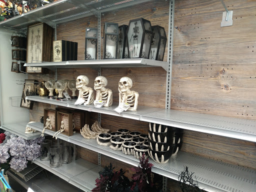 Craft Store «Michaels», reviews and photos, 1811 NE Pine Island Rd Ste 100, Cape Coral, FL 33909, USA