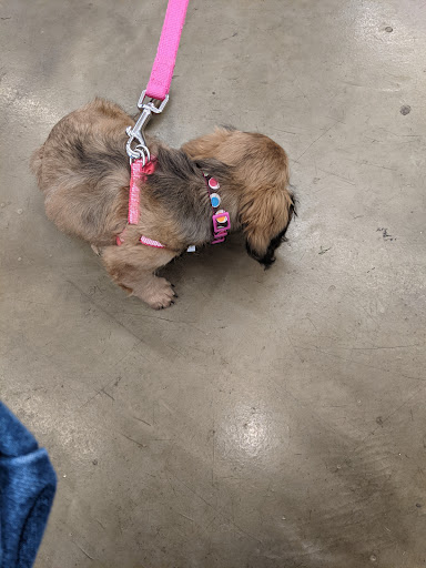 Pet Supply Store «Pet Supplies Plus», reviews and photos, 1155 Washington Pike, Bridgeville, PA 15017, USA