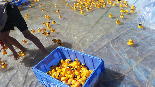 Park «Bridgeport Park», reviews and photos, 23520 Bridgeport Ln, Santa Clarita, CA 91355, USA