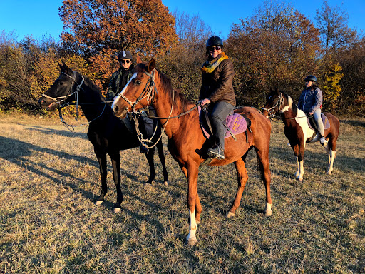 Конна база Своге - Horse riding stables Svoge