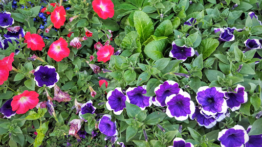 Cafe «Siuslaw River Coffee Roasters», reviews and photos, 1240 Bay St, Florence, OR 97439, USA