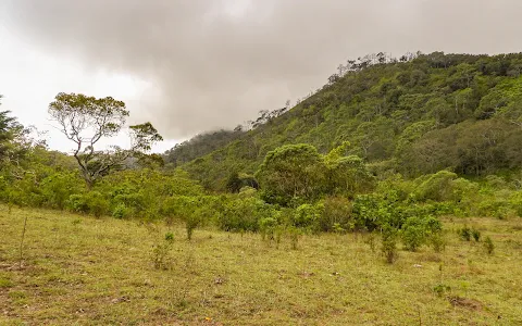 Cerro de San Juan image