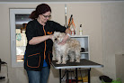 Astrid`s Hundesalon Hellenthal