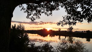 Ritter Park - photo 95