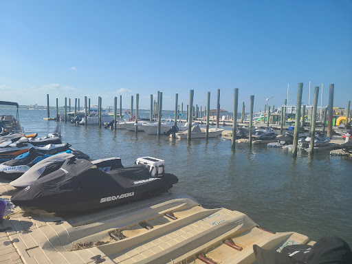  «Stormin Speedboat & Dolphin Watch», reviews and photos, 244 Bay Ave, Ocean City, NJ 08226, USA