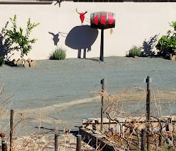 BAJA WINE & SUN TOURS photo