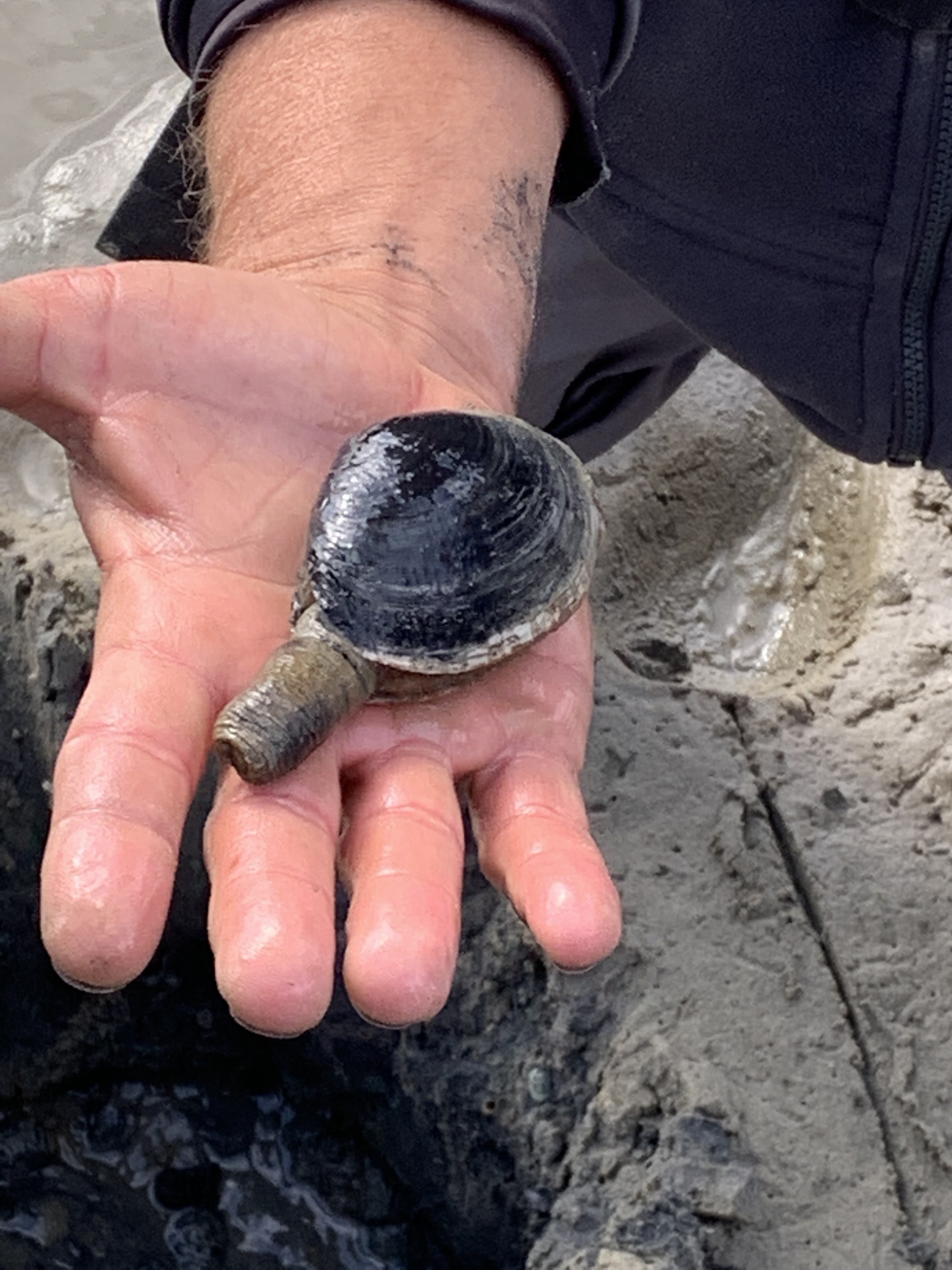 Photo n° 4 de l'avis de Philippe.L fait le 19/09/2022 à 21:36