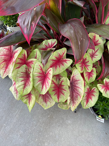 Home Improvement Store «The Home Depot», reviews and photos, 6400 Peachtree Dunwoody Rd, Sandy Springs, GA 30328, USA