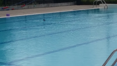 Piscine Municipale de Vinay à Vinay