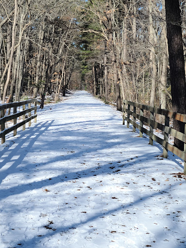 Park «Junction & Breakwater Trailhead», reviews and photos, Junction and Breakwater Trail, Rehoboth Beach, DE 19971, USA